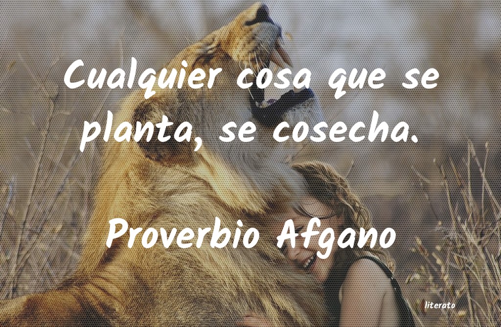 proverbio traidor