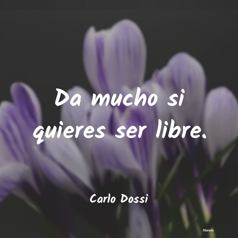 Frases de Carlo Dossi