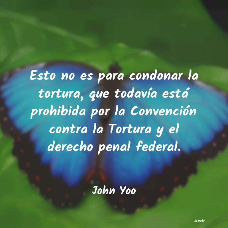 Frases de John Yoo