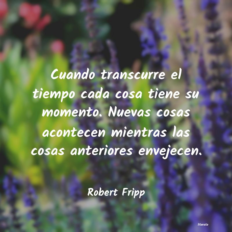 frases de Robert Fripp
