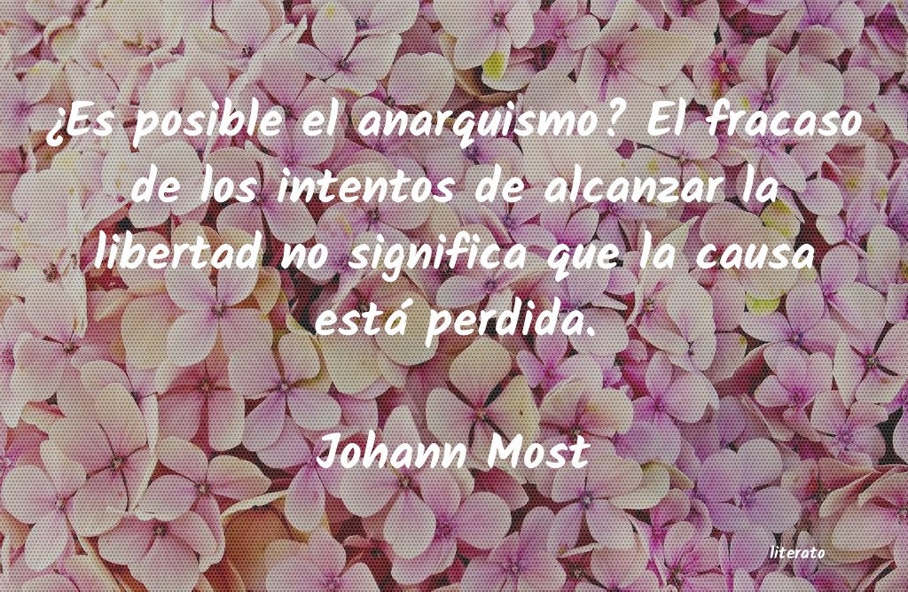 frases de Johann Most