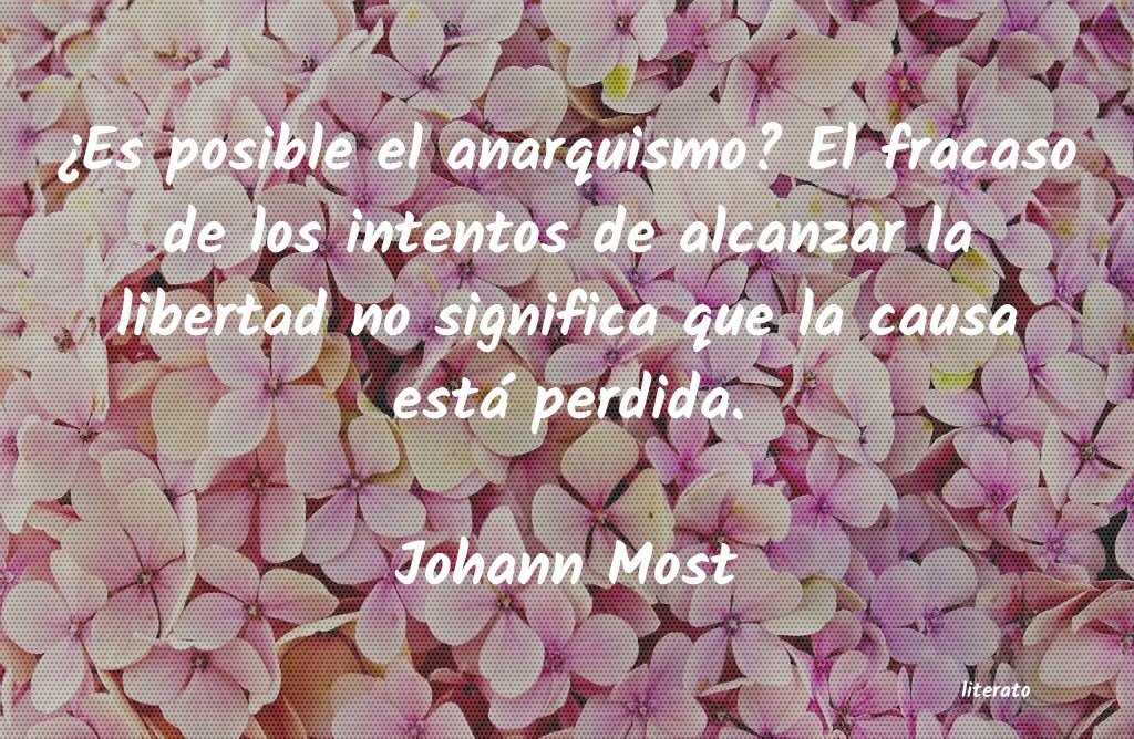 Frases de Johann Most