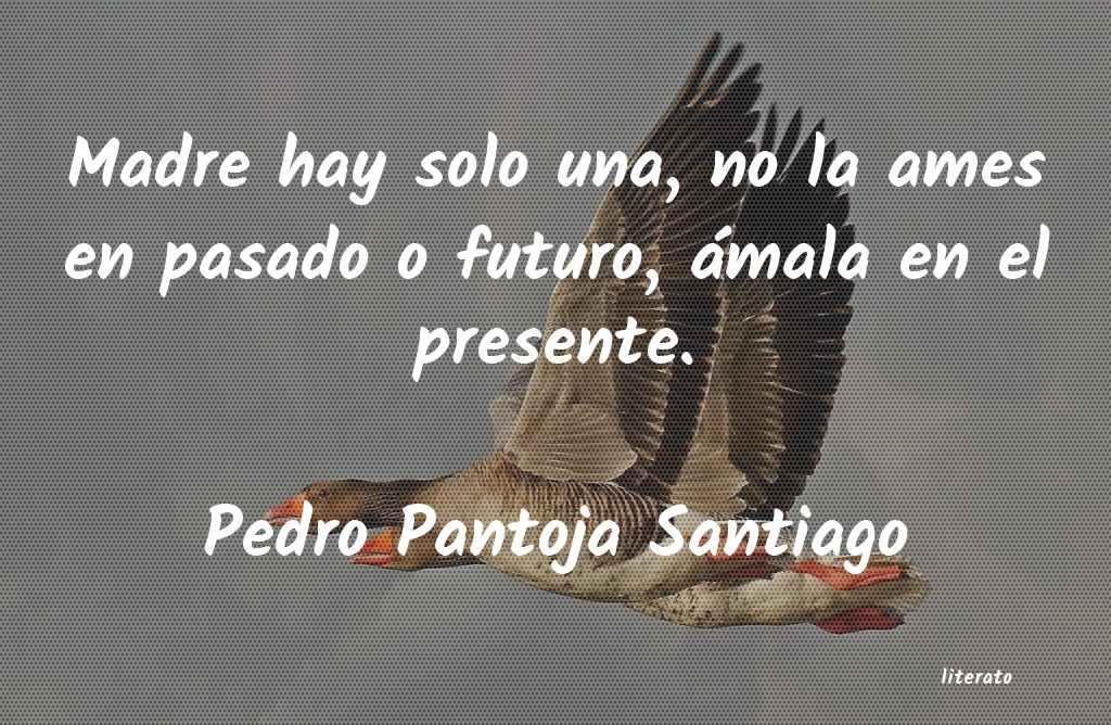 Frases de Pedro Pantoja Santiago