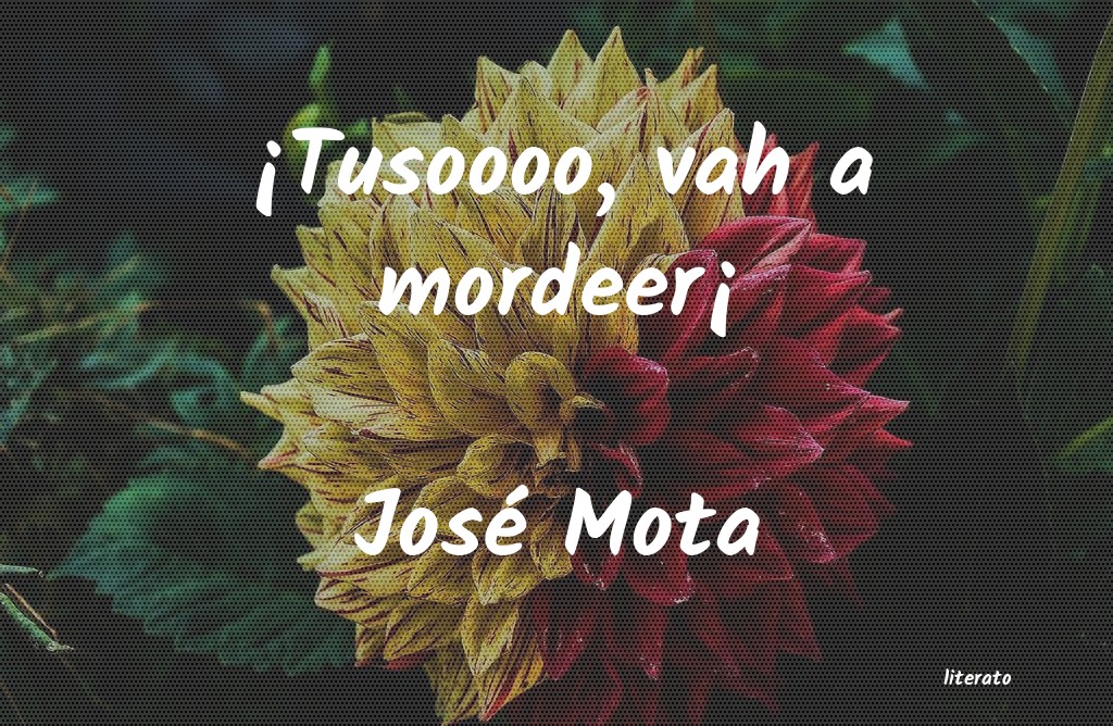 Frases de José Mota