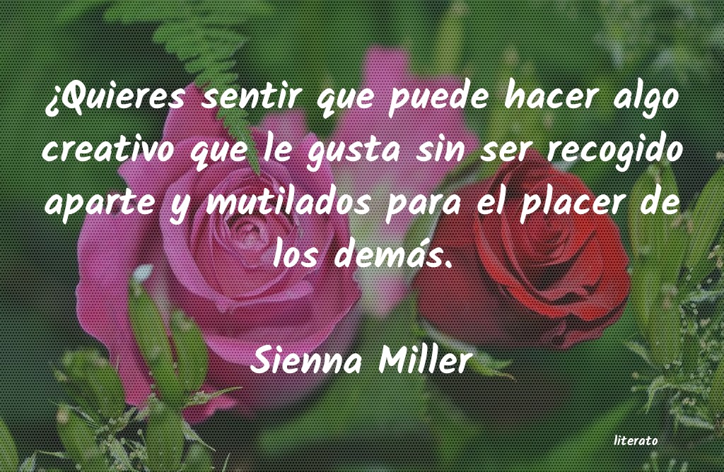 frases de Sienna Miller