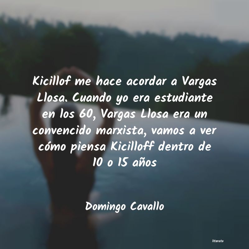 frases de Domingo Cavallo