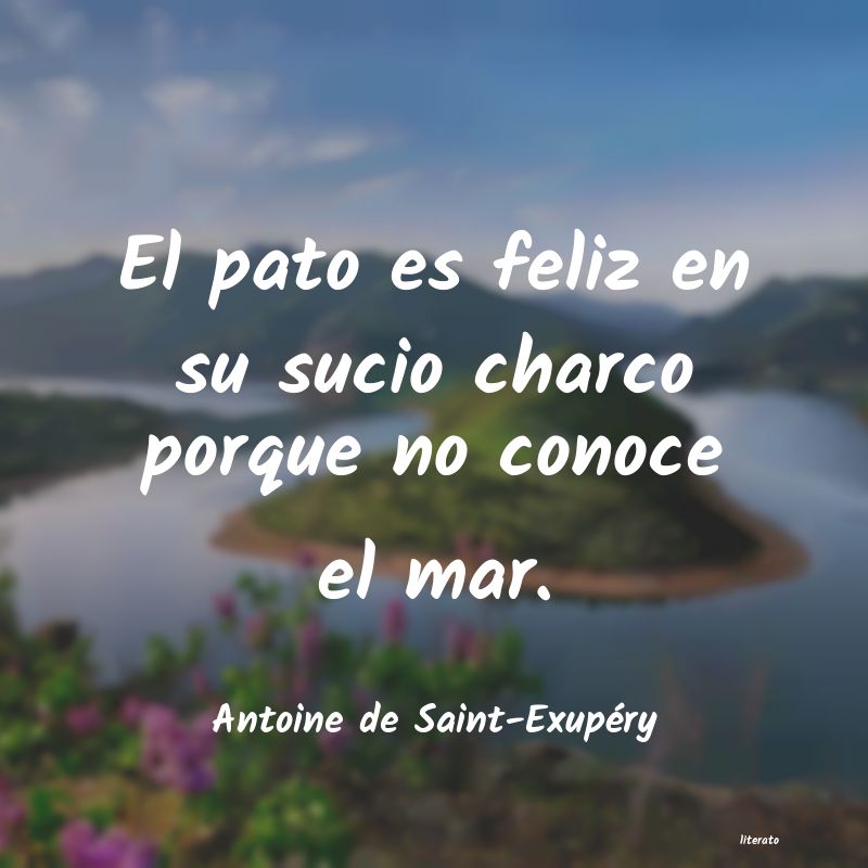 Frases de Antoine de Saint-Exupéry