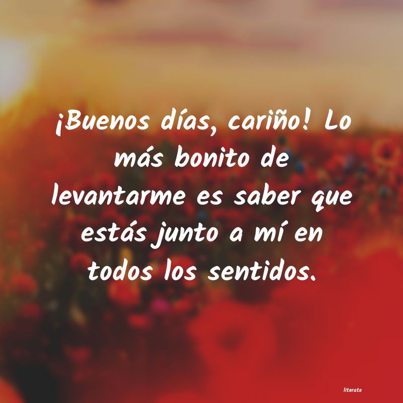 frases