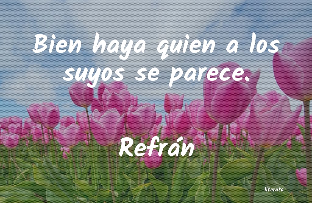 Frases de Refrán