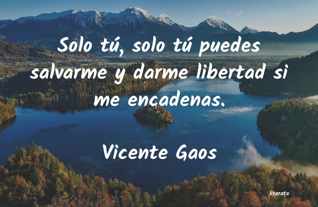 Frases de Vicente Gaos