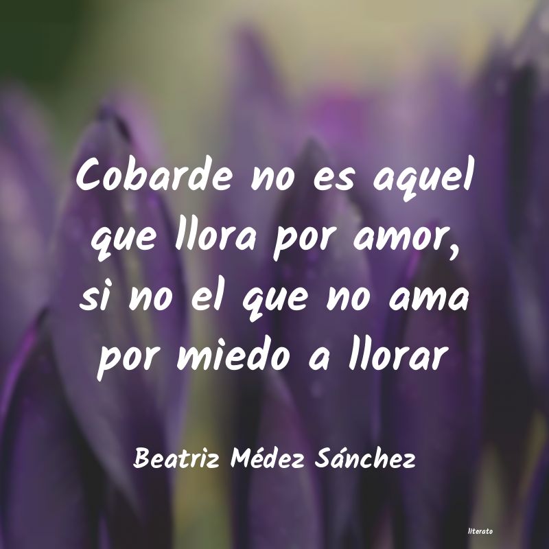 Frases de Beatriz Médez Sánchez