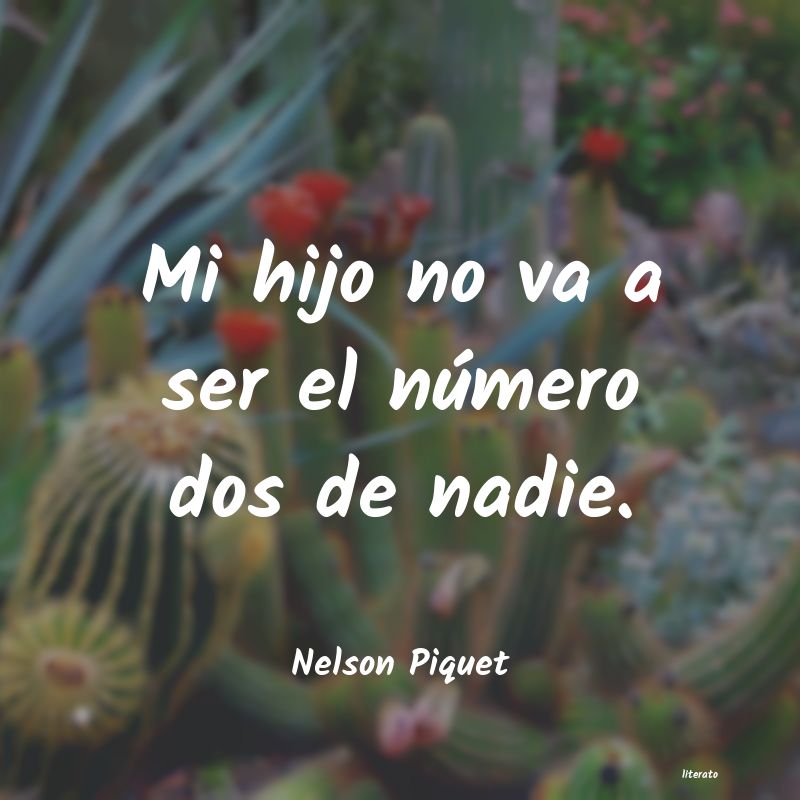 Frases de Nelson Piquet