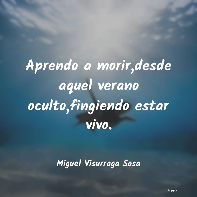 Frases de Miguel Visurraga Sosa