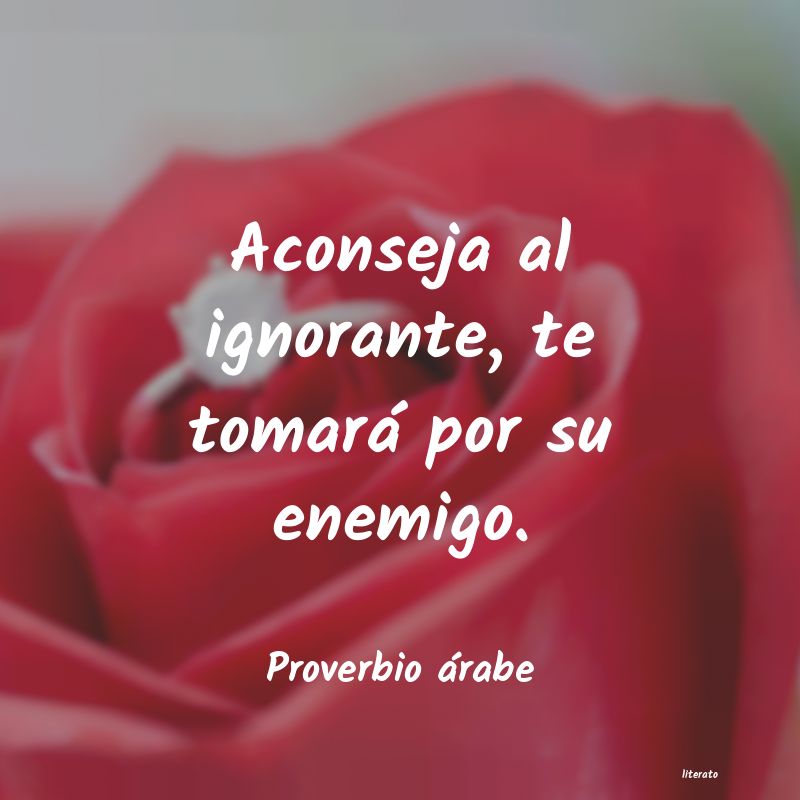 Frases de Proverbio árabe