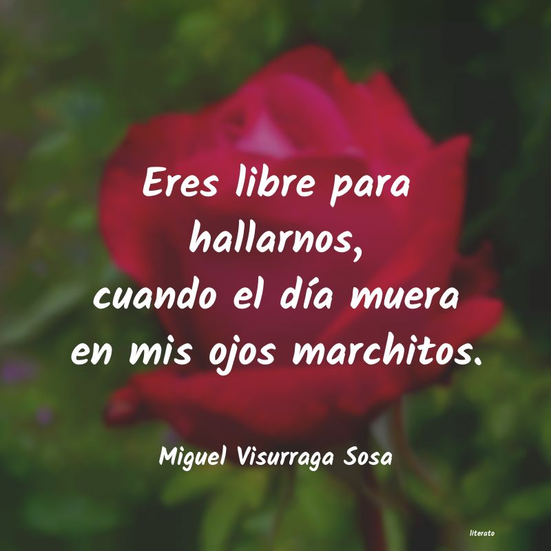 Frases de Miguel Visurraga Sosa