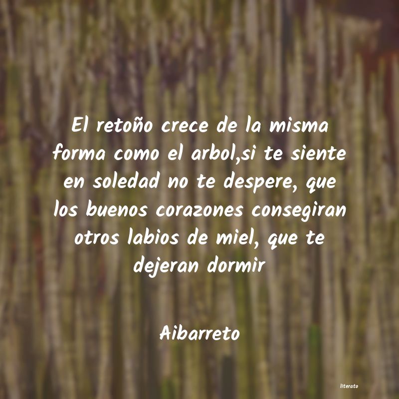 frases de Aibarreto