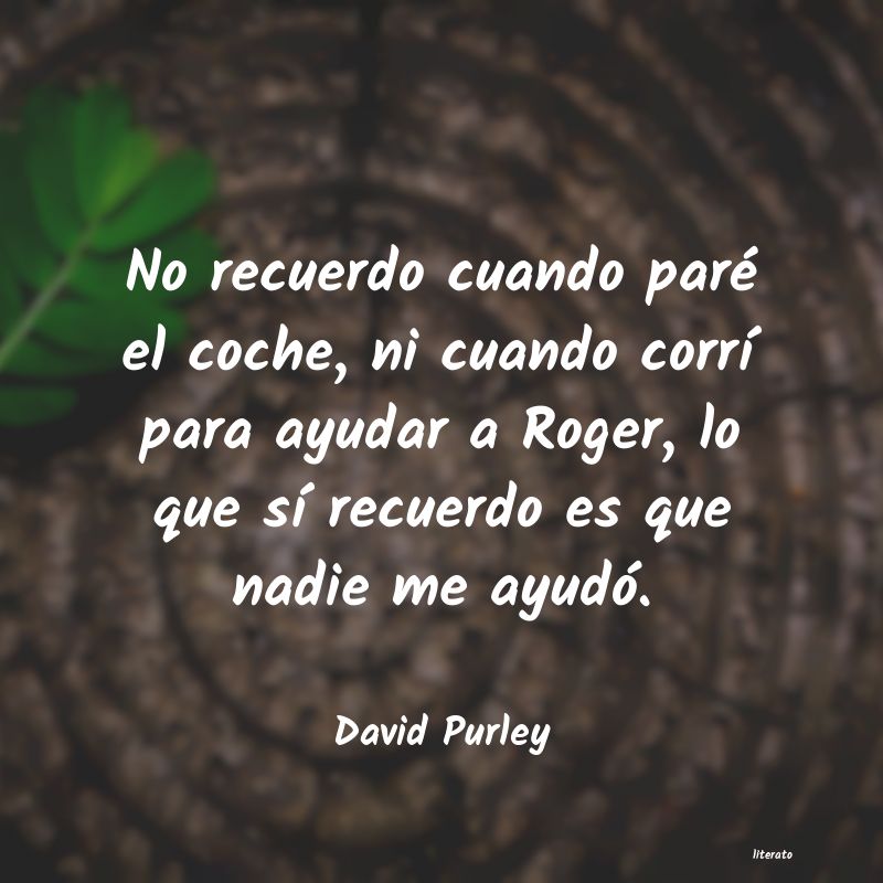 Frases de David Purley