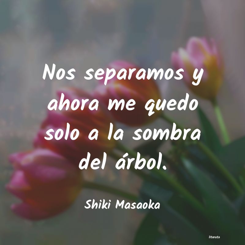 frases de Shiki Masaoka