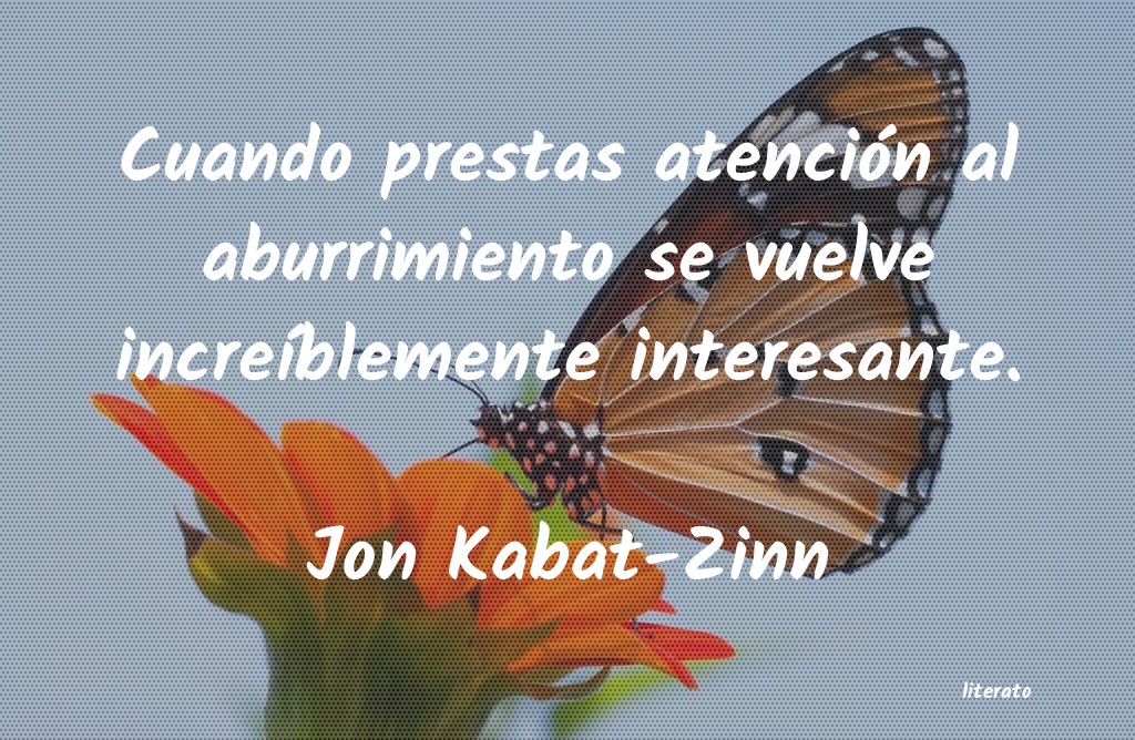 Frases de Jon Kabat-Zinn