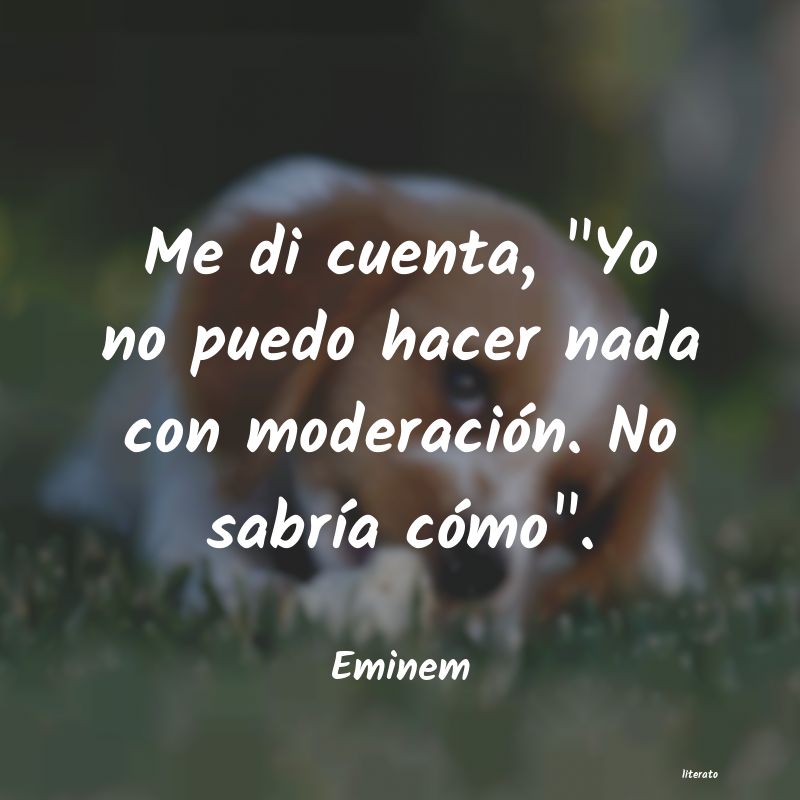 Frases de Eminem