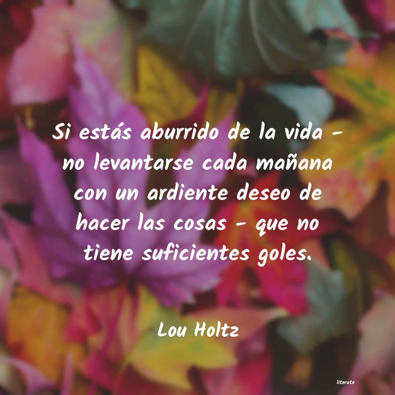 Frases de Lou Holtz