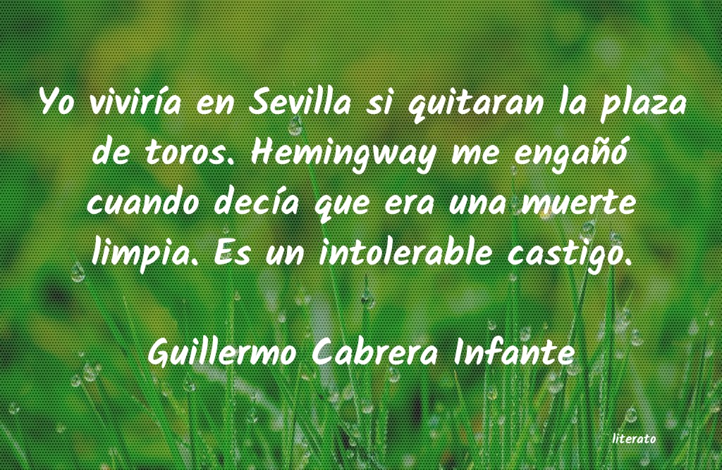 Frases de Guillermo Cabrera Infante