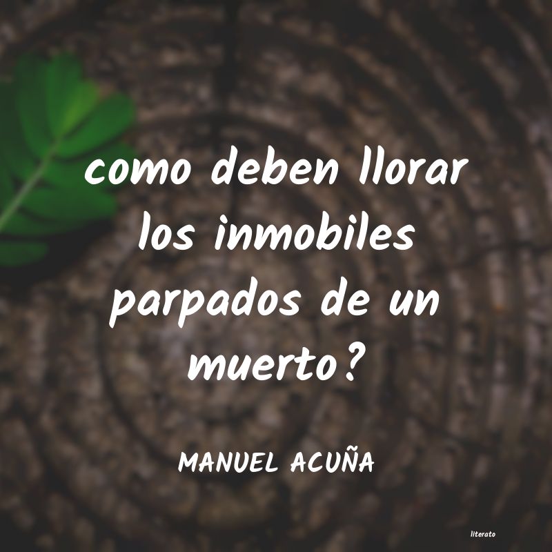 frases de MANUEL ACUÃA