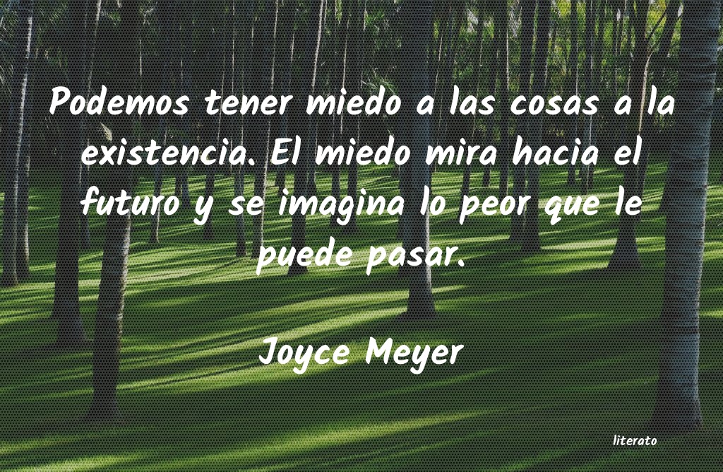 Frases de Joyce Meyer