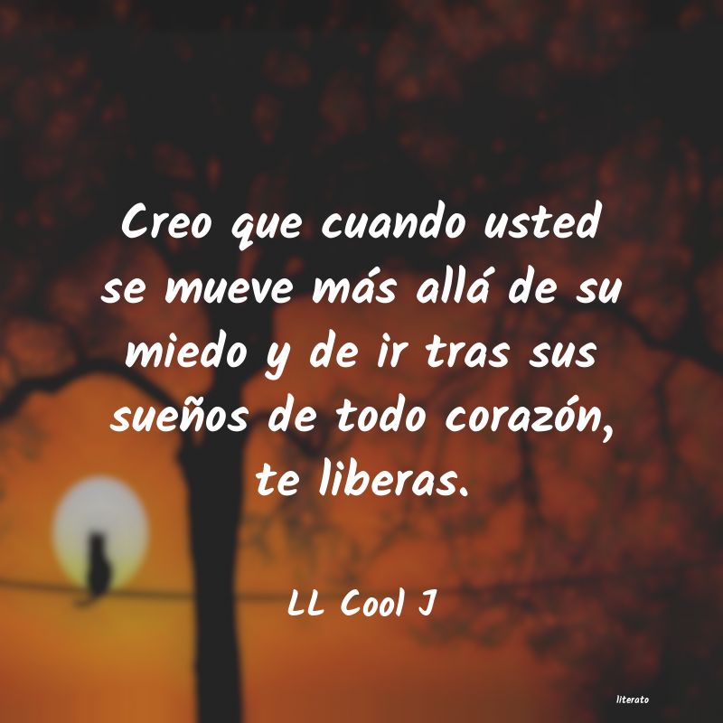 Frases de LL Cool J