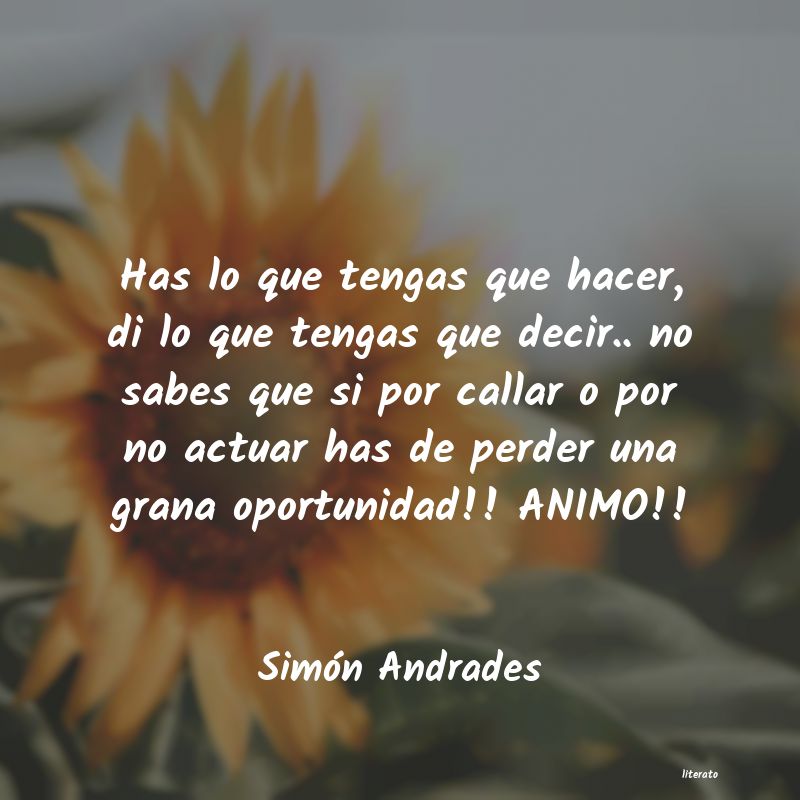 Frases de Simón Andrades