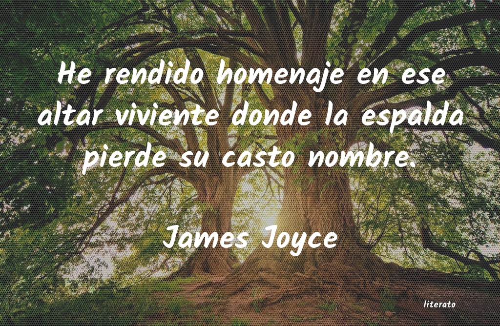 Frases de James Joyce