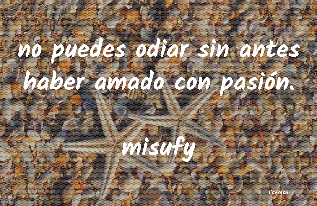 Frases de misufy