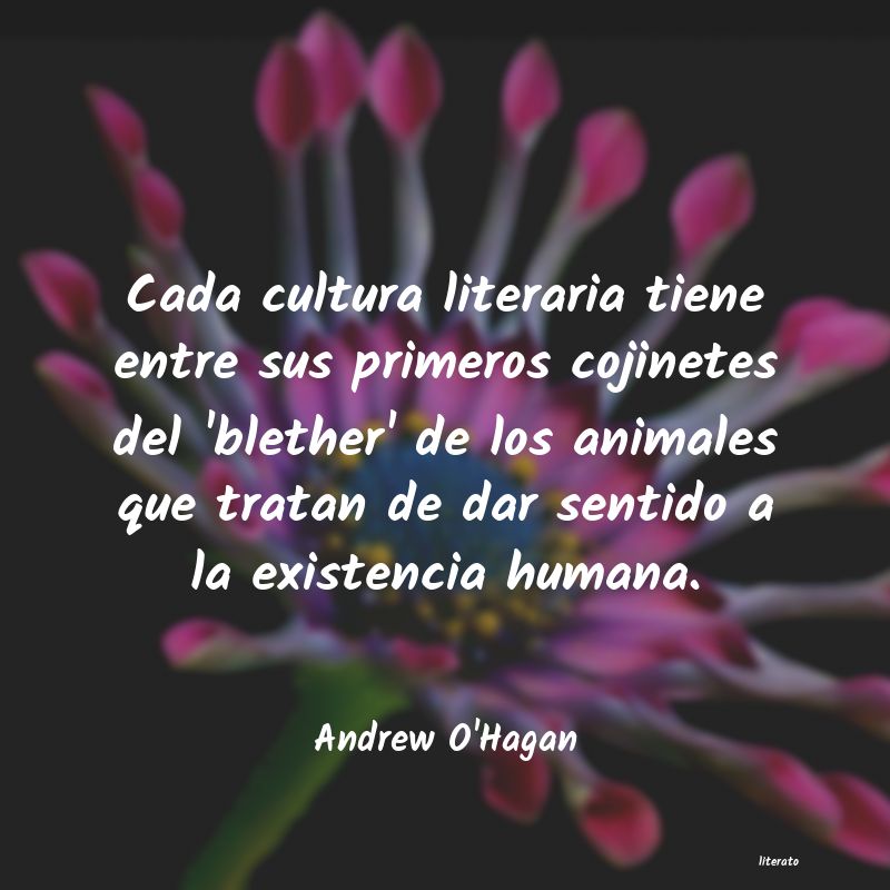 Frases de Andrew O'Hagan