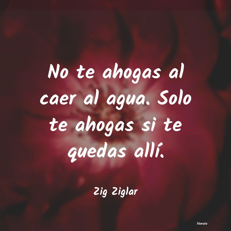 frases de Zig Ziglar