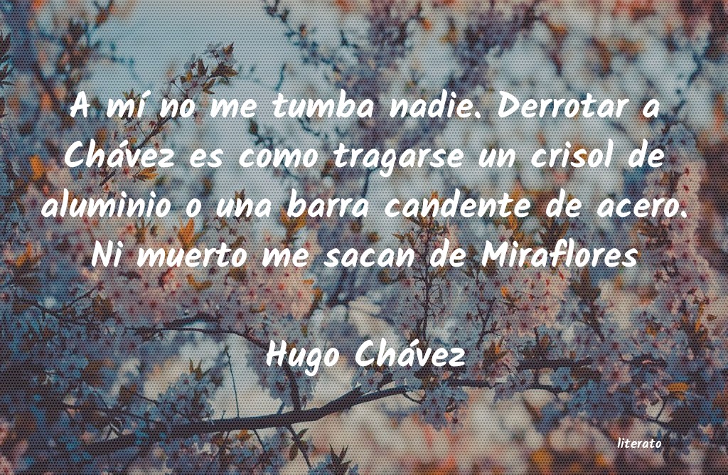 Frases de Hugo Chávez