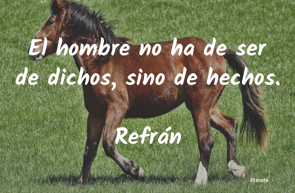 frases de Refrán
