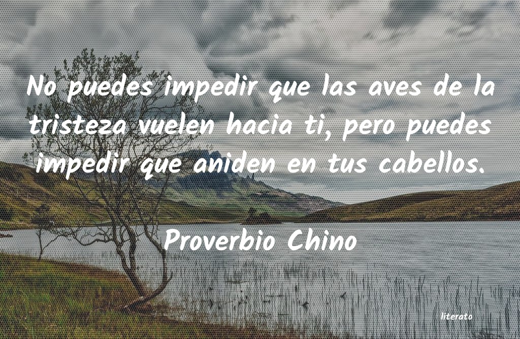 Frases de Proverbio Chino