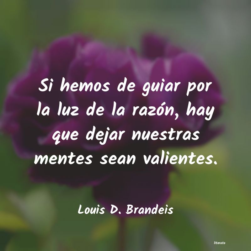 Frases de Louis D. Brandeis