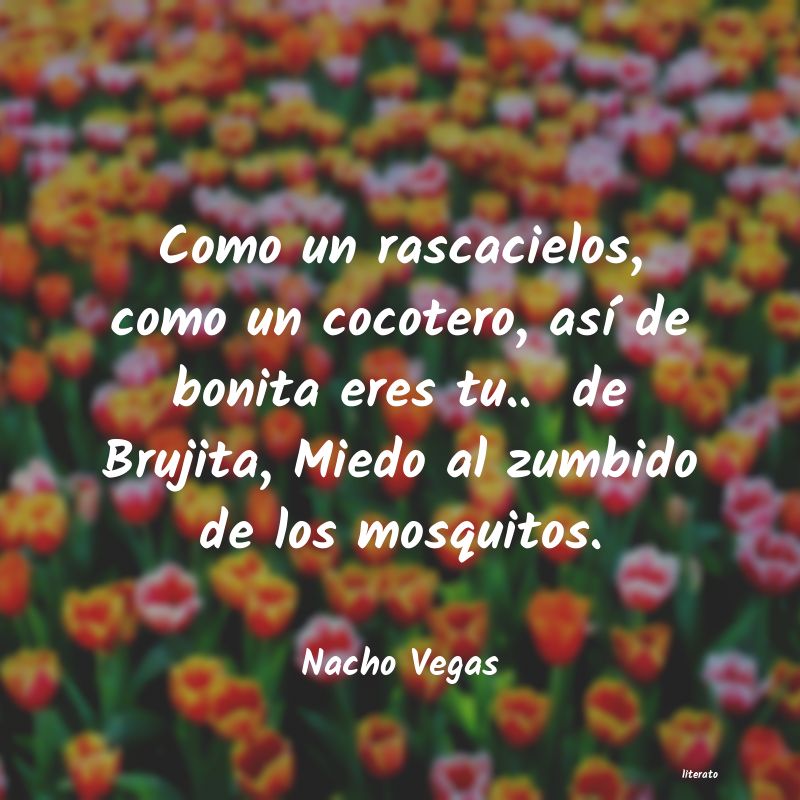 frases de Nacho Vegas