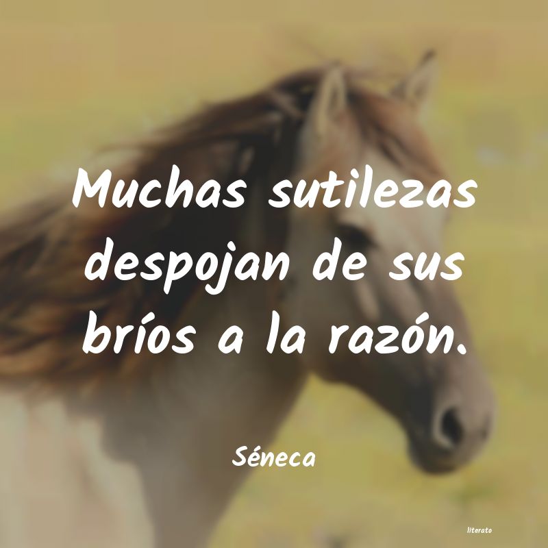 Frases de Séneca