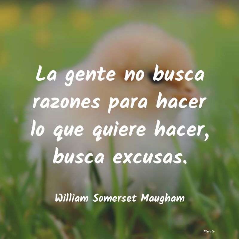 frases de excusas