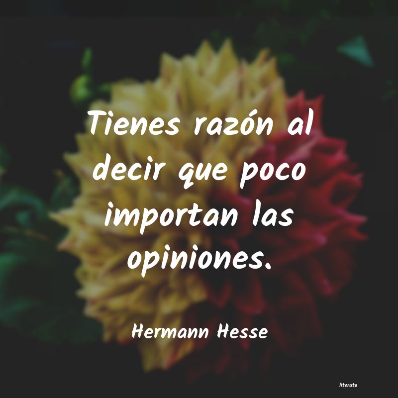 Frases de Hermann Hesse