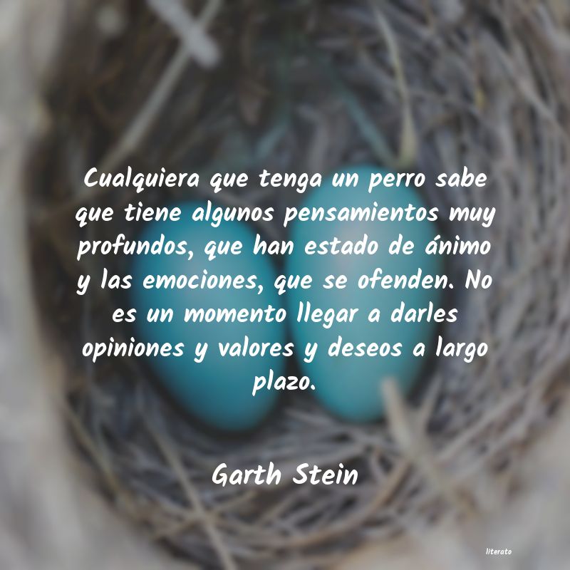 Frases de Garth Stein