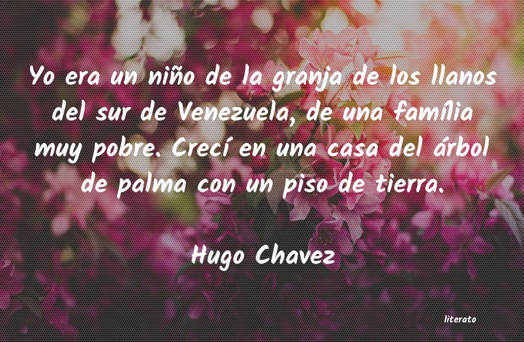 Frases de Hugo Chavez