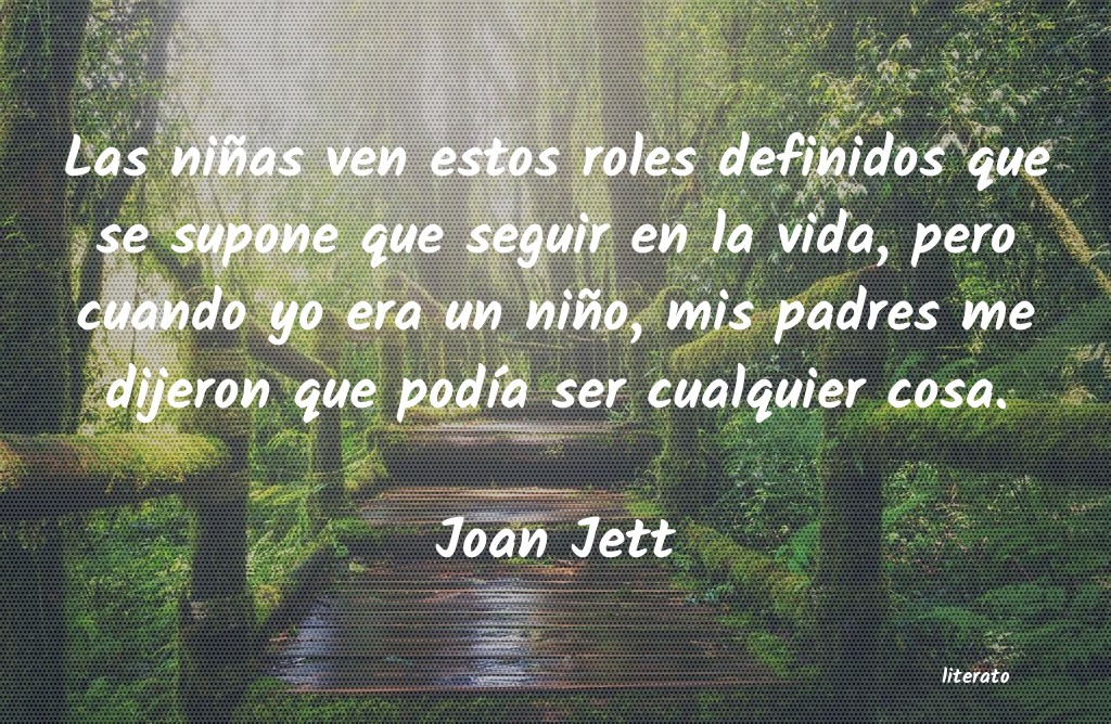 Frases de Joan Jett