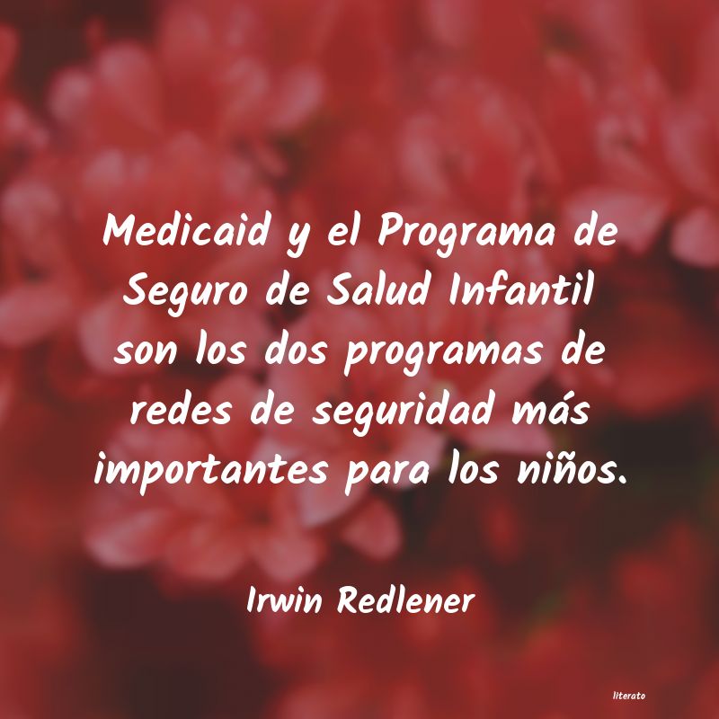 Frases de Irwin Redlener