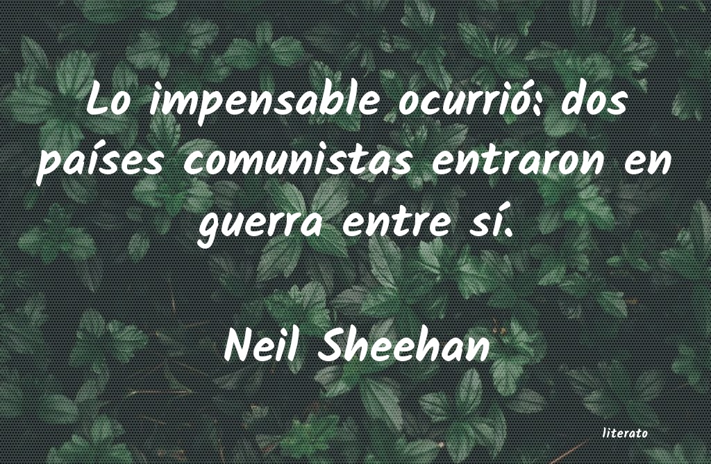 Frases de Neil Sheehan