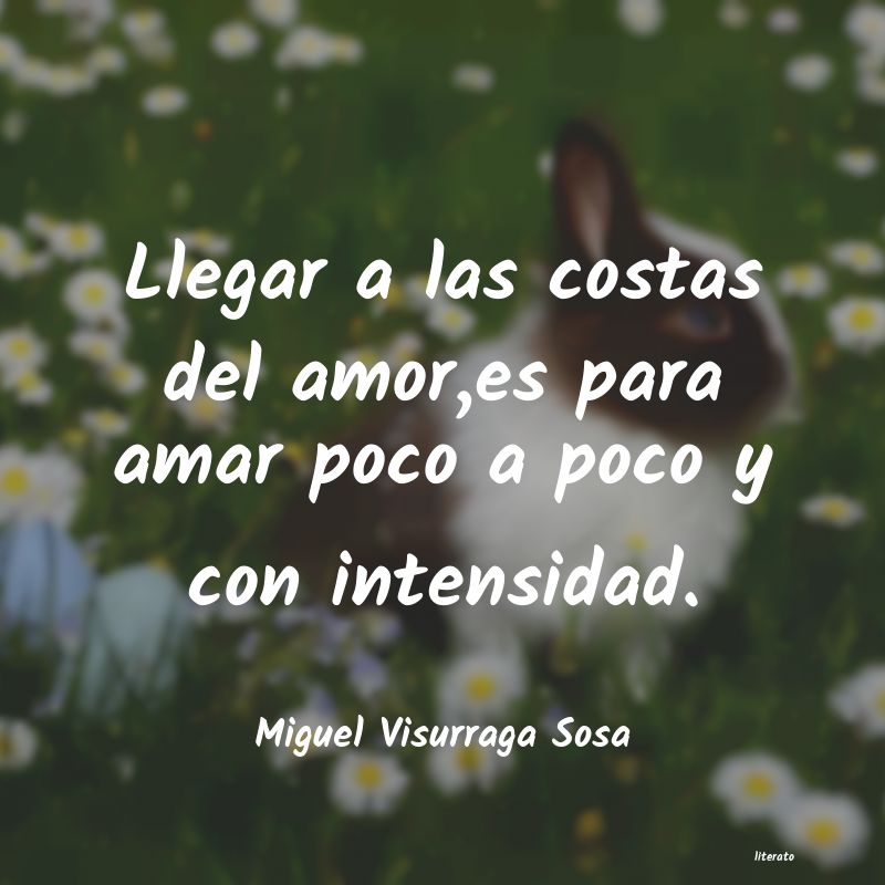 frases de Miguel Visurraga Sosa