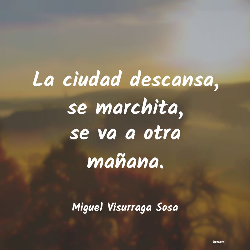 frases de Miguel Visurraga Sosa