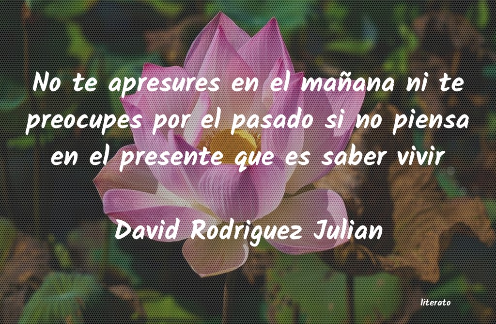 Frases de David Rodriguez Julian